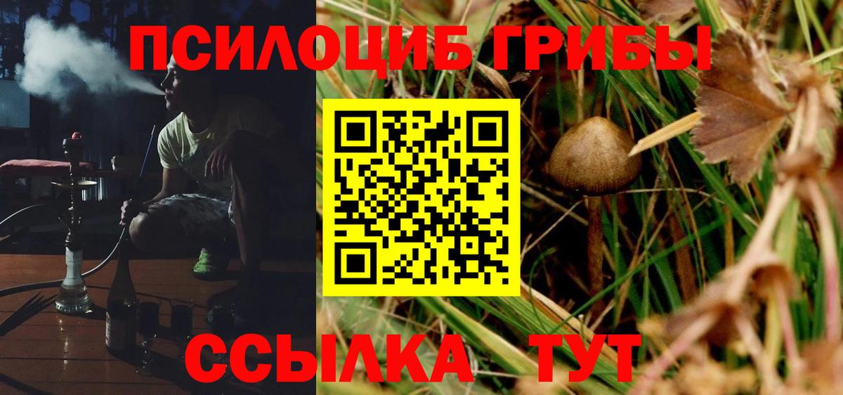 Псилоцибиновые грибы GOLDEN TEACHER Долгопрудный